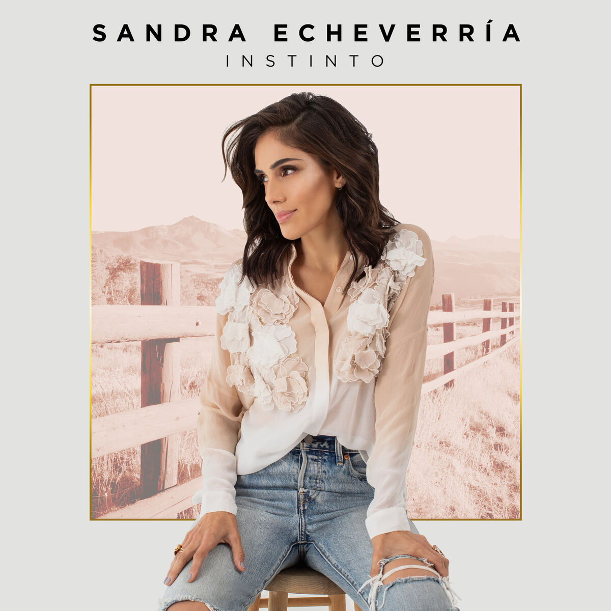 Album cover of Instinto