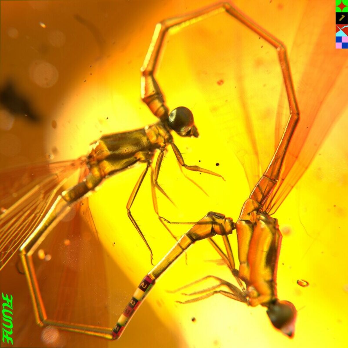Album cover of Friends