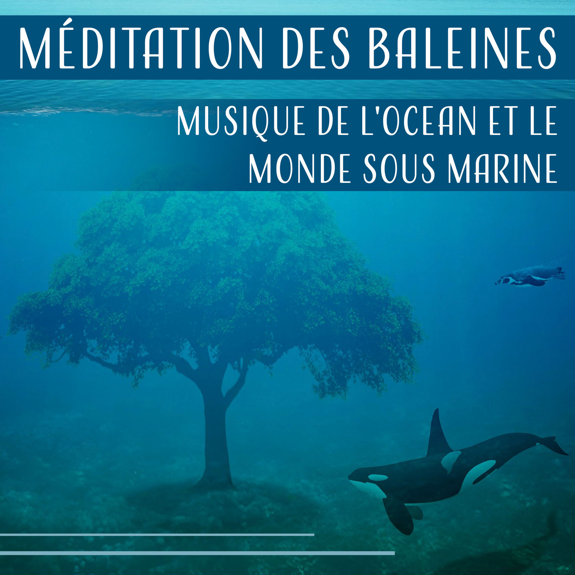 Album cover of Méditation des baleines (Musique de l'ocean et le monde sous marine)