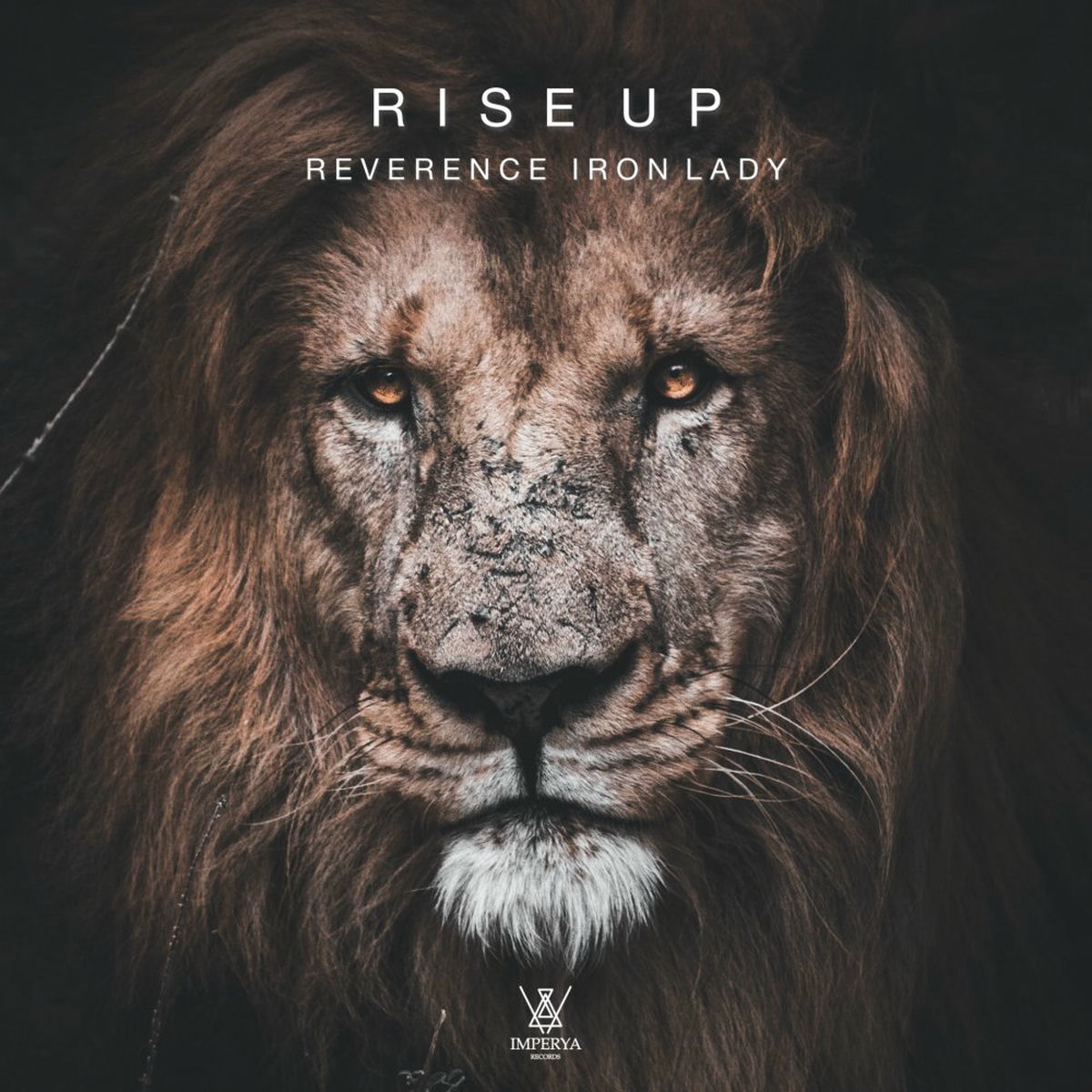 Album cover of Rise Up