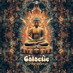 Cover of Shankara