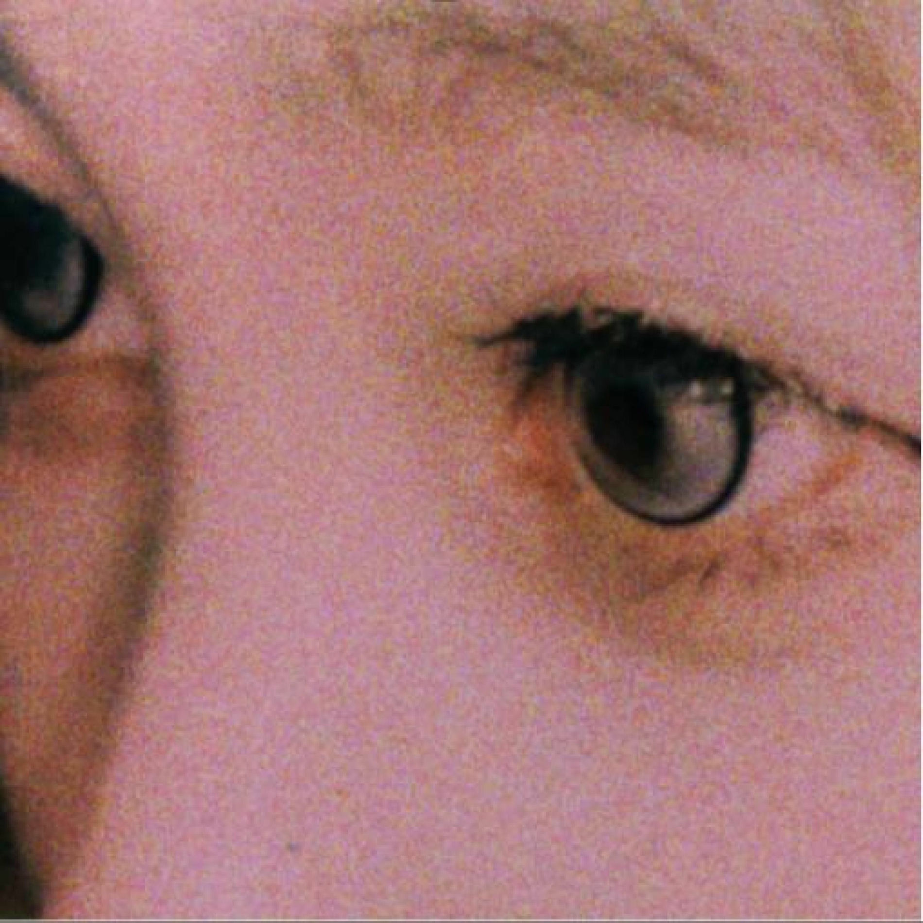 Album cover of Sped Up!