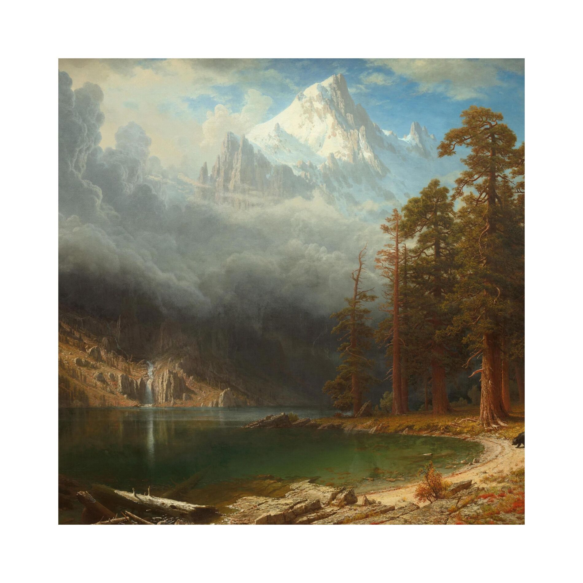 Album cover of Solitude (feat. Elcamino & LaQuan)