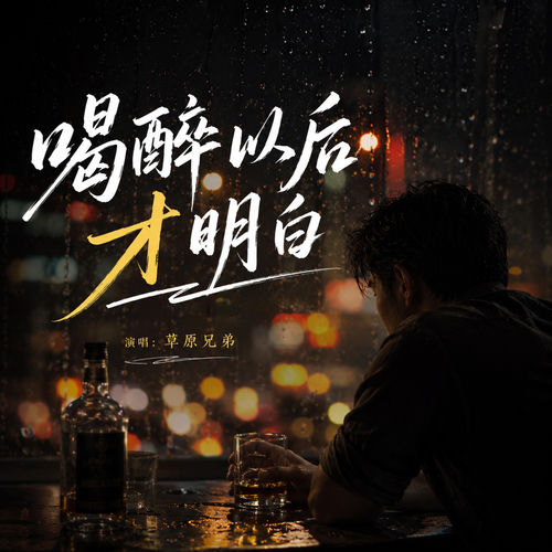 喝醉以后才明白 (加速版)