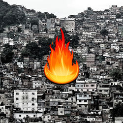 Cover of FOGO by undefined