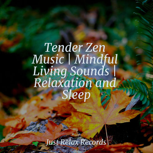 Tender Zen Music | Mindful Living Sounds | Relaxation and Sleep