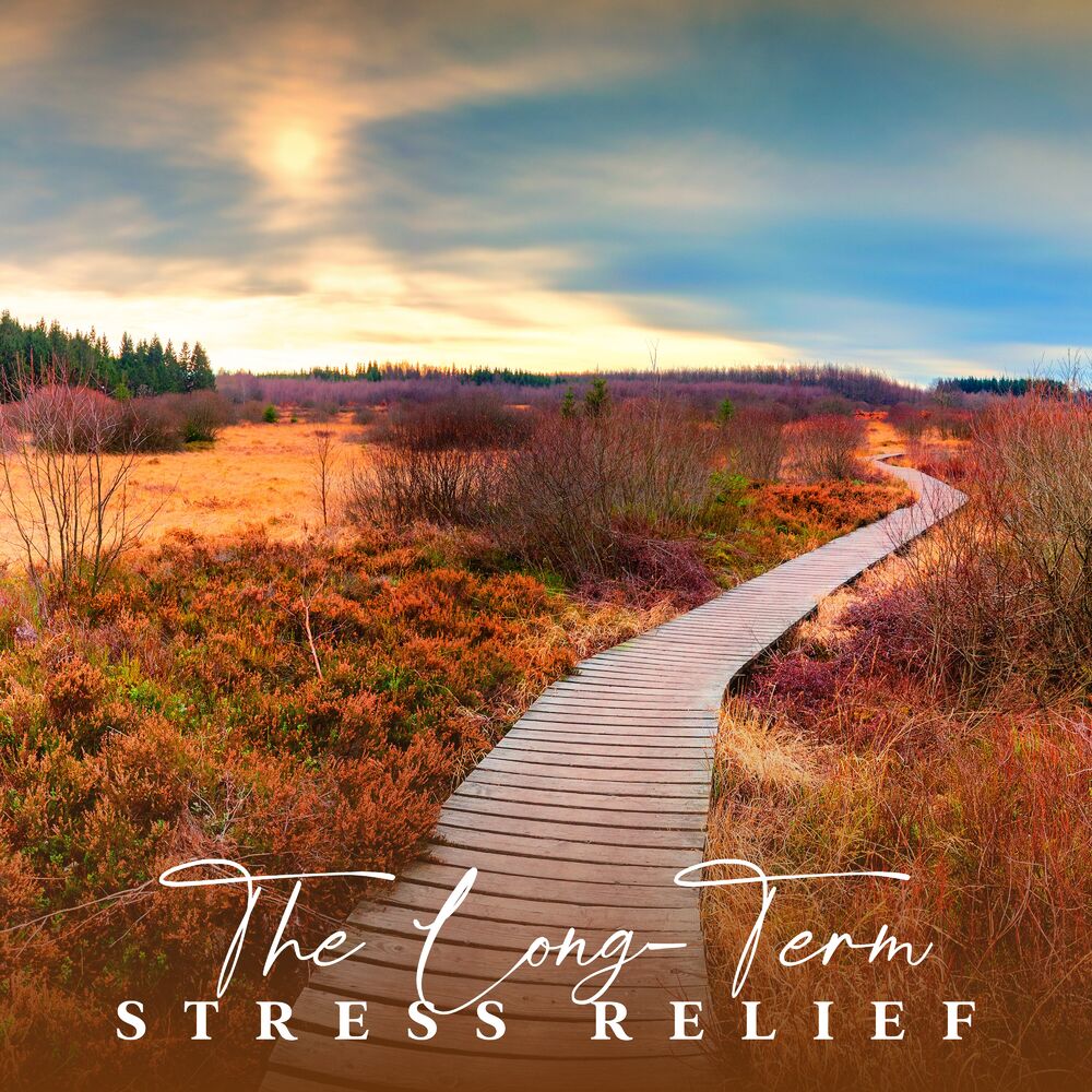 Picture of The Long-Term Stress Relief: Anxiety Reduction, Nature Sounds for Stress, Protect Your Mind & Body