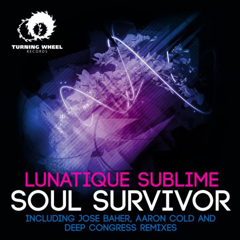 Picture of Soul Survivor
