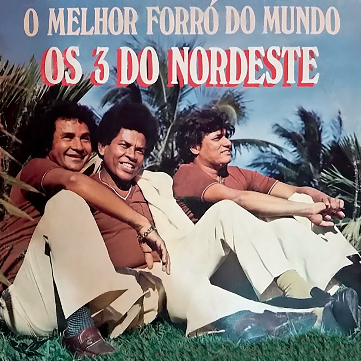 Album cover of O Melhor Forró do Mundo