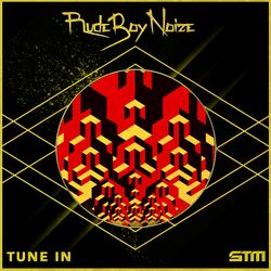 Cover of Tune In