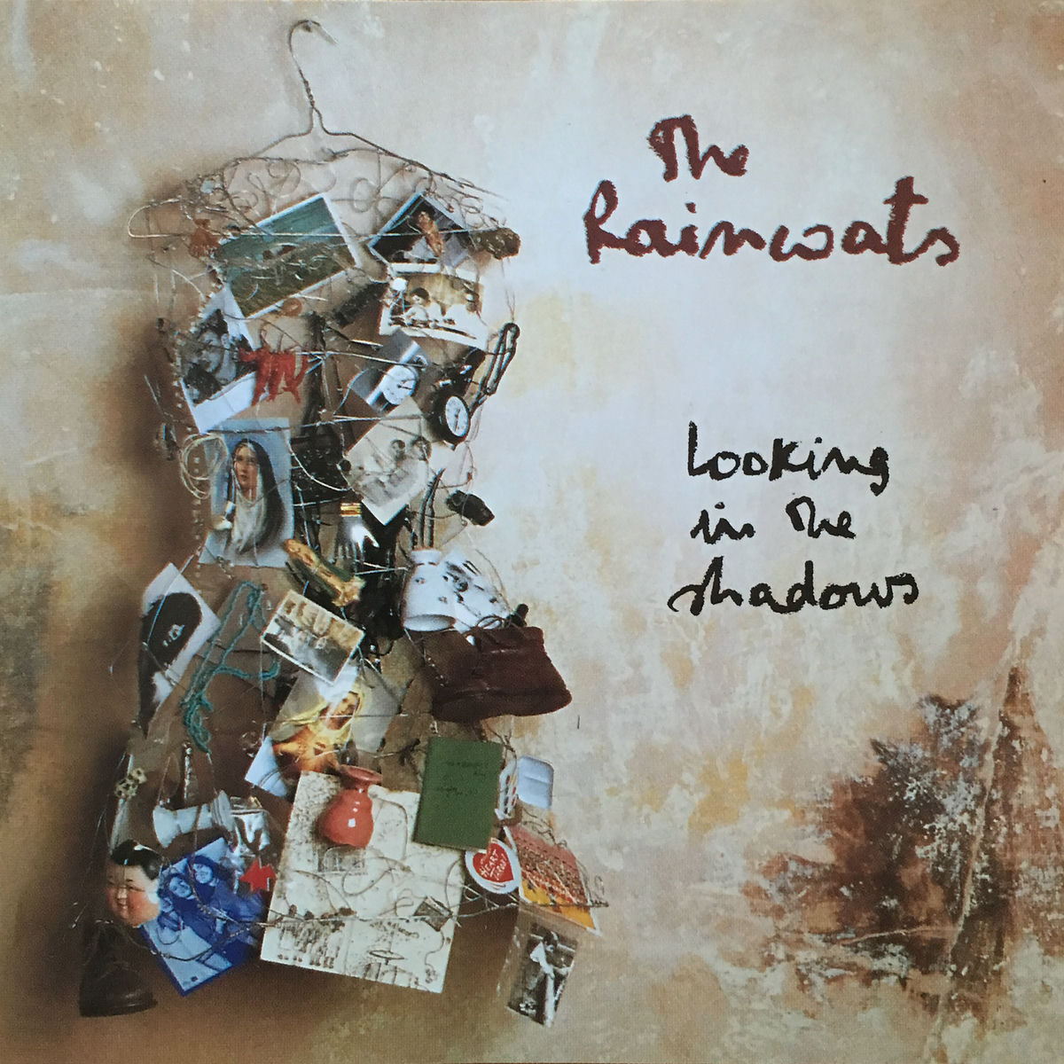 Album cover of Looking in the Shadows