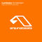 Amsterdam (Original Mix) by Luminary album cover