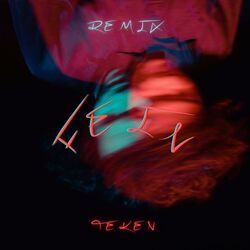 Cover of FEIN