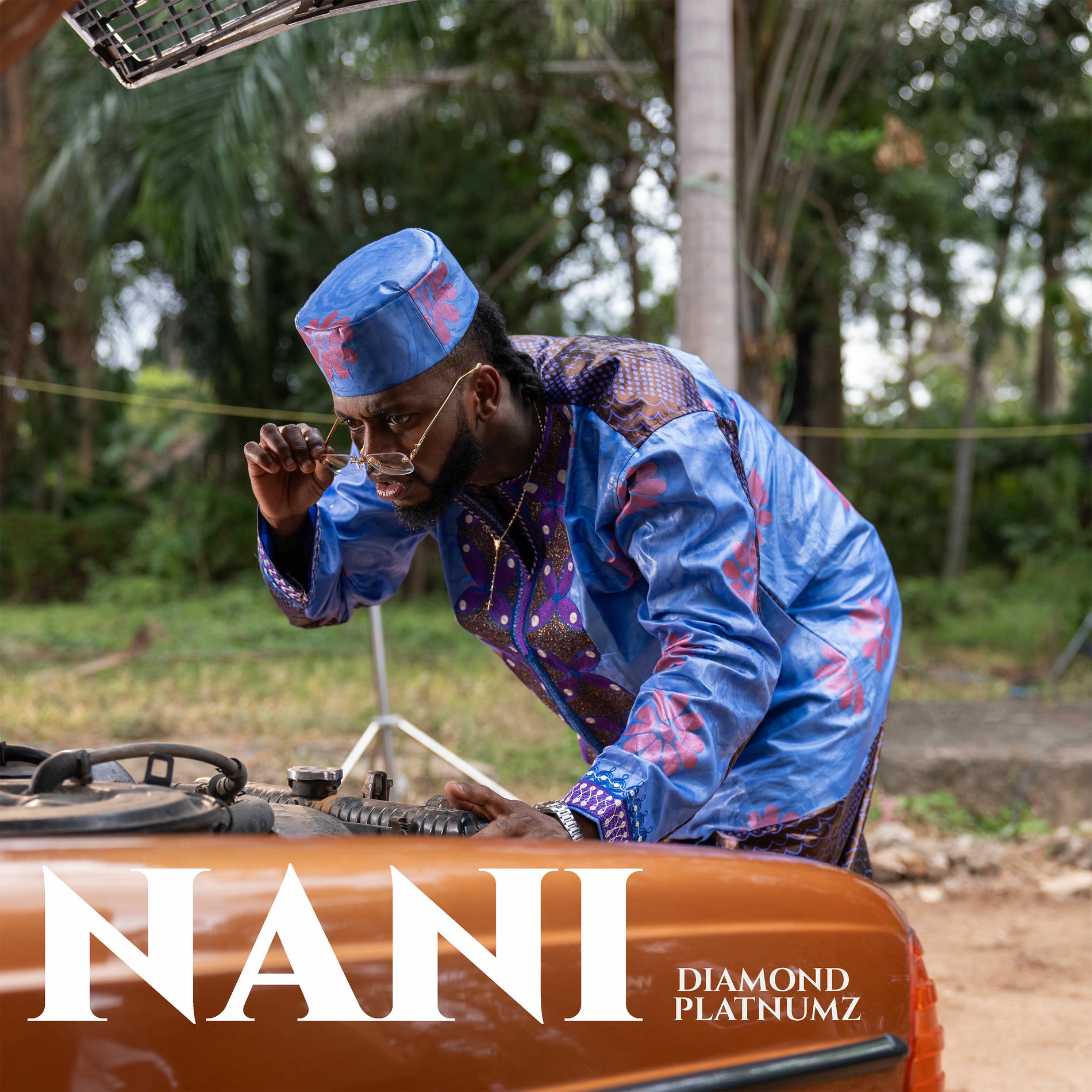Album cover of Nani