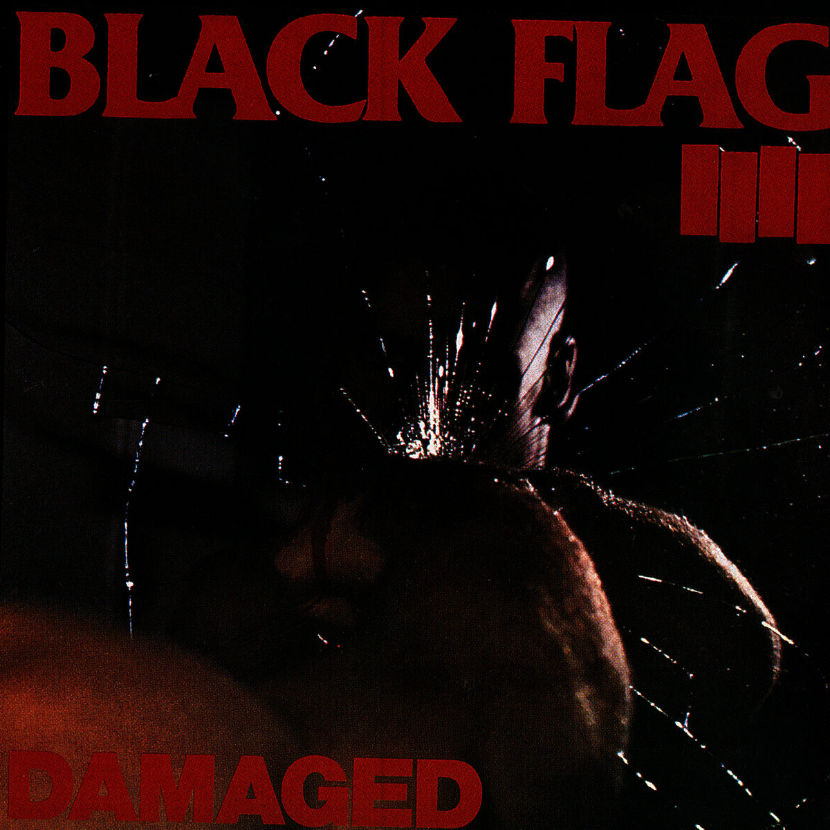 アート・デザイン・音楽 LARGER THAN LIFE Black Flag Memorabilla LARGER THAN LIFE Black Flag Memorabilla