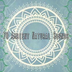 Cover of 70 Ambient Natural Sounds