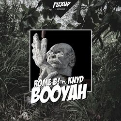 Cover of Booyah