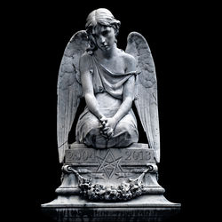 Cover of 2004 - 2013