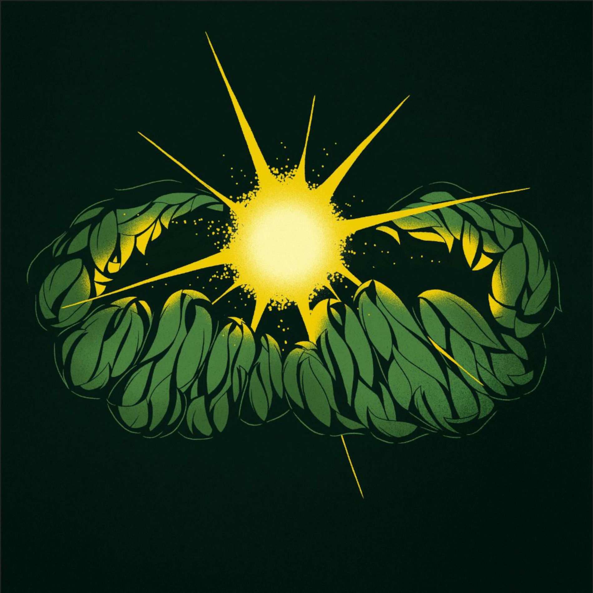 Album cover of Little Light
