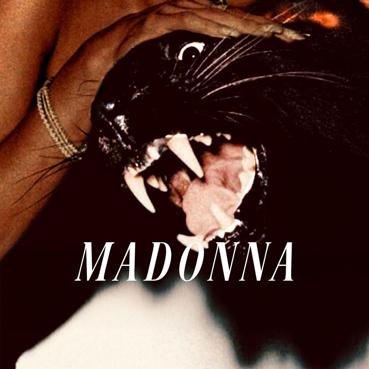 Album cover of Madonna