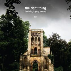 Cover of The Right Thing (Remixes)