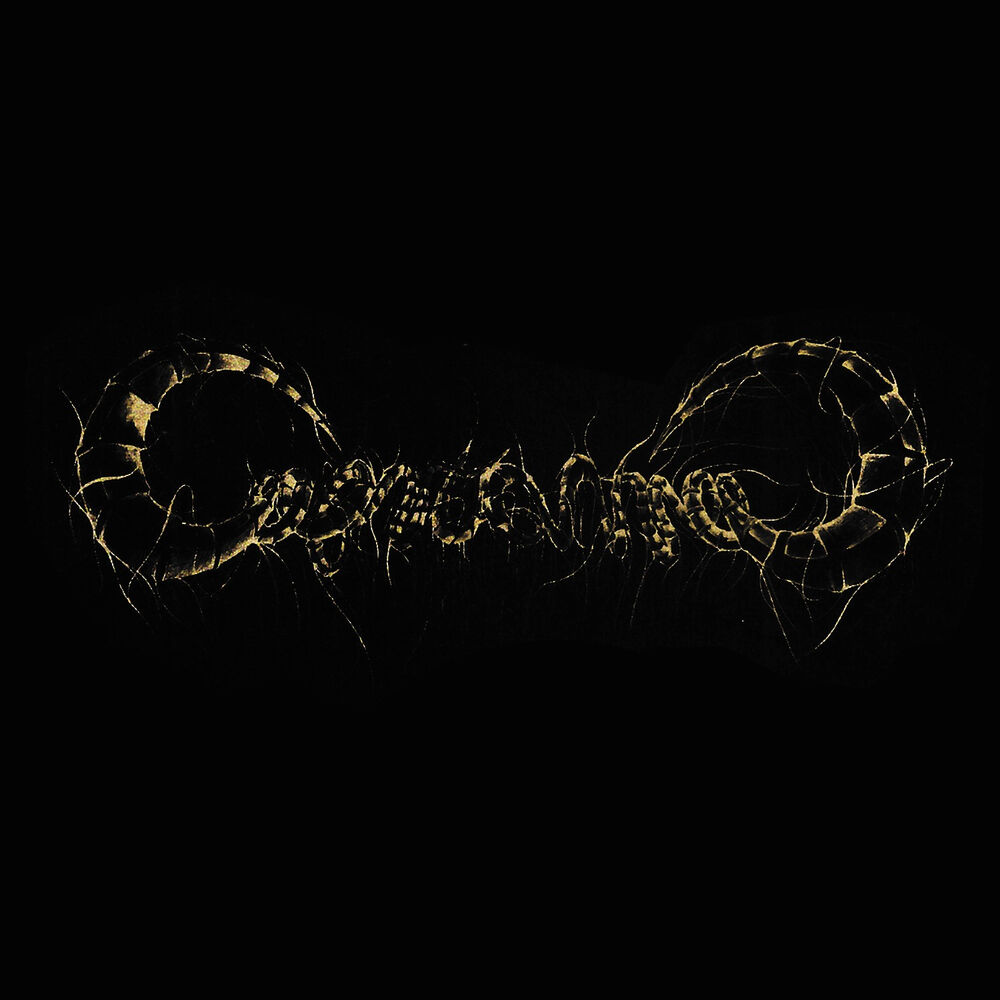 Picture of Capricorns - Single