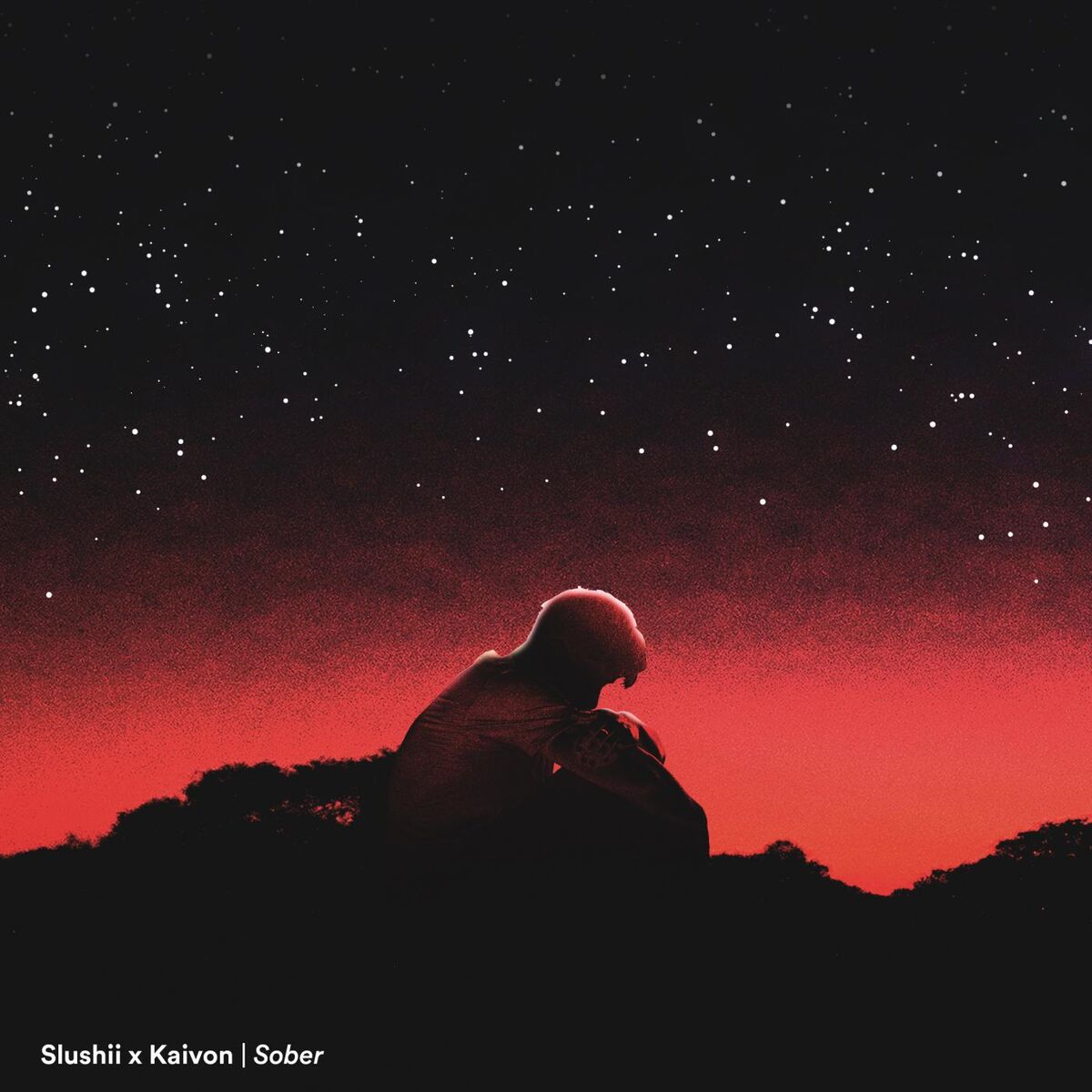 Album cover of Sober