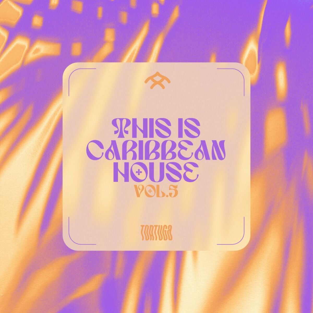 Album cover of This Is Caribbean House, Vol.5