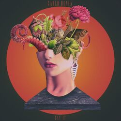 Cover of Say It
