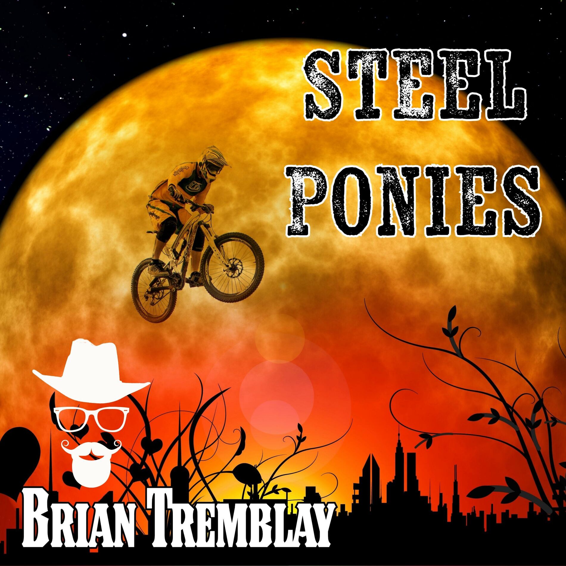 Album cover of Steel Ponies