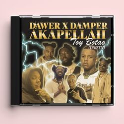 Cover of TOY BOTAO (PARTY)
