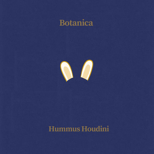 Hummus Houdini
