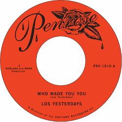 Cover of Who Made You You?