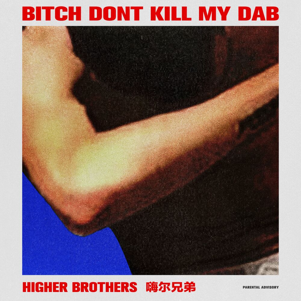 Picture of Bitch Don't Kill My Dab - Single