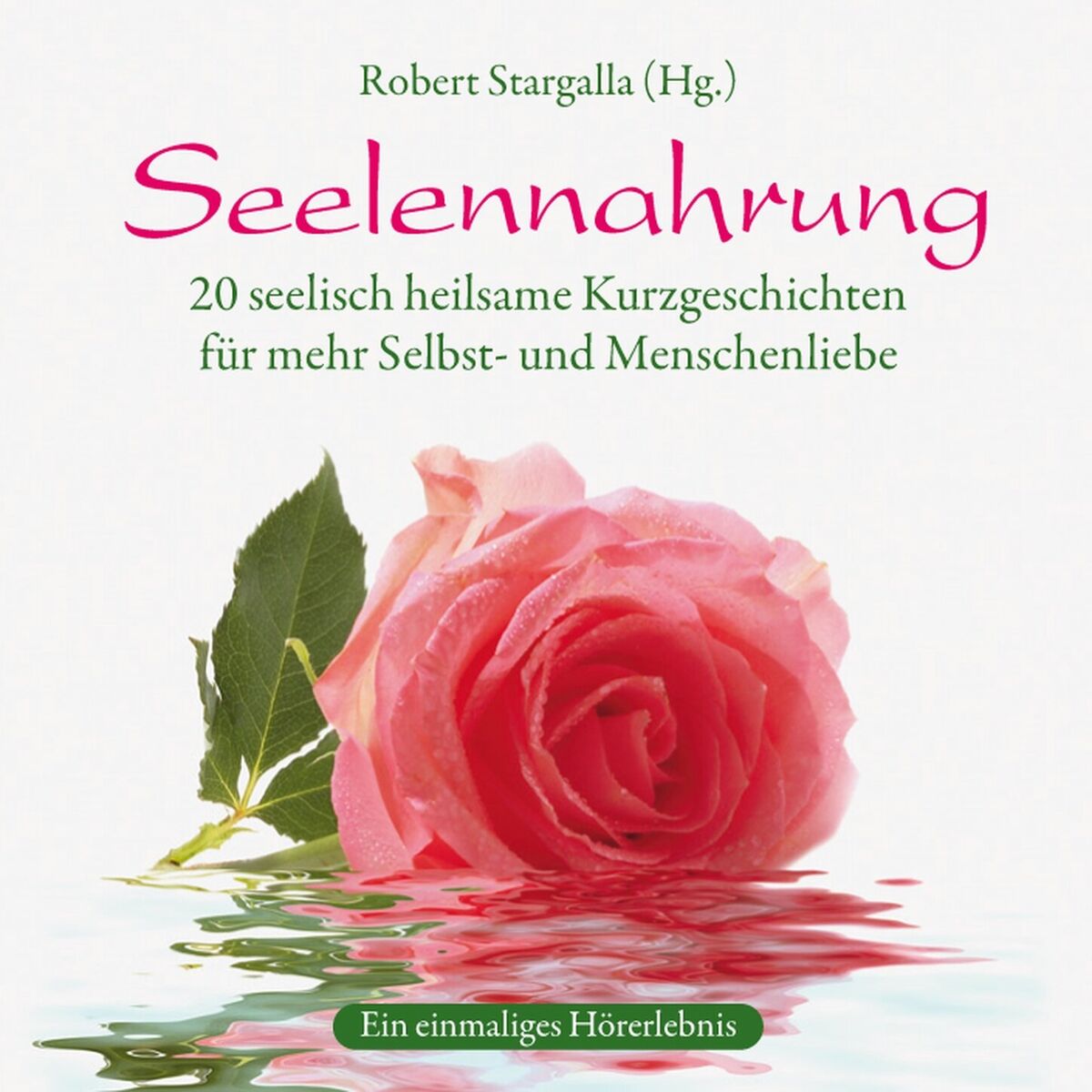 Album cover of Seelennahrung (ungekürzt)