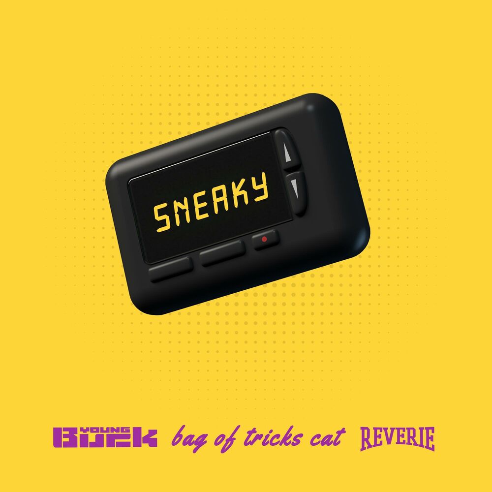Picture of Sneaky