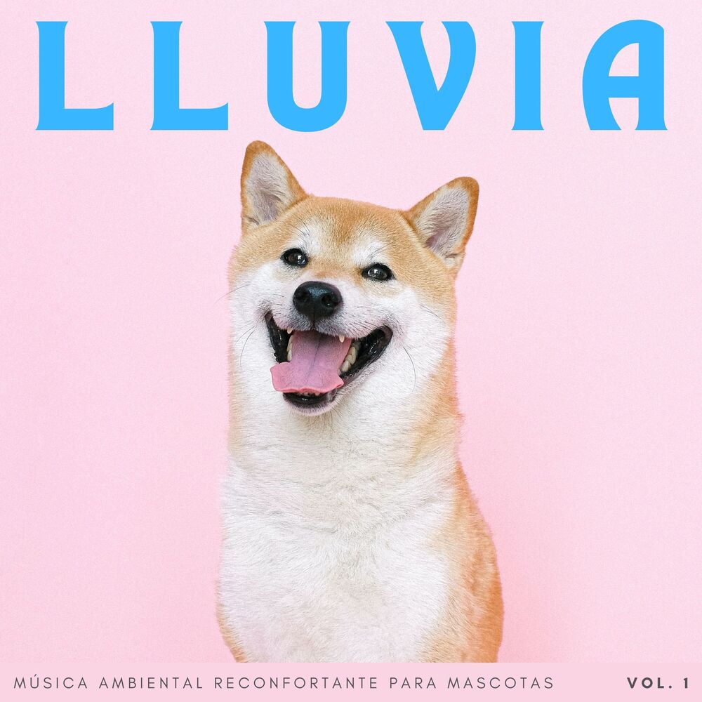 Picture of Lluvia: Música Ambiental Reconfortante Para Mascotas Vol. 1