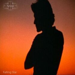 Cover of Falling Star