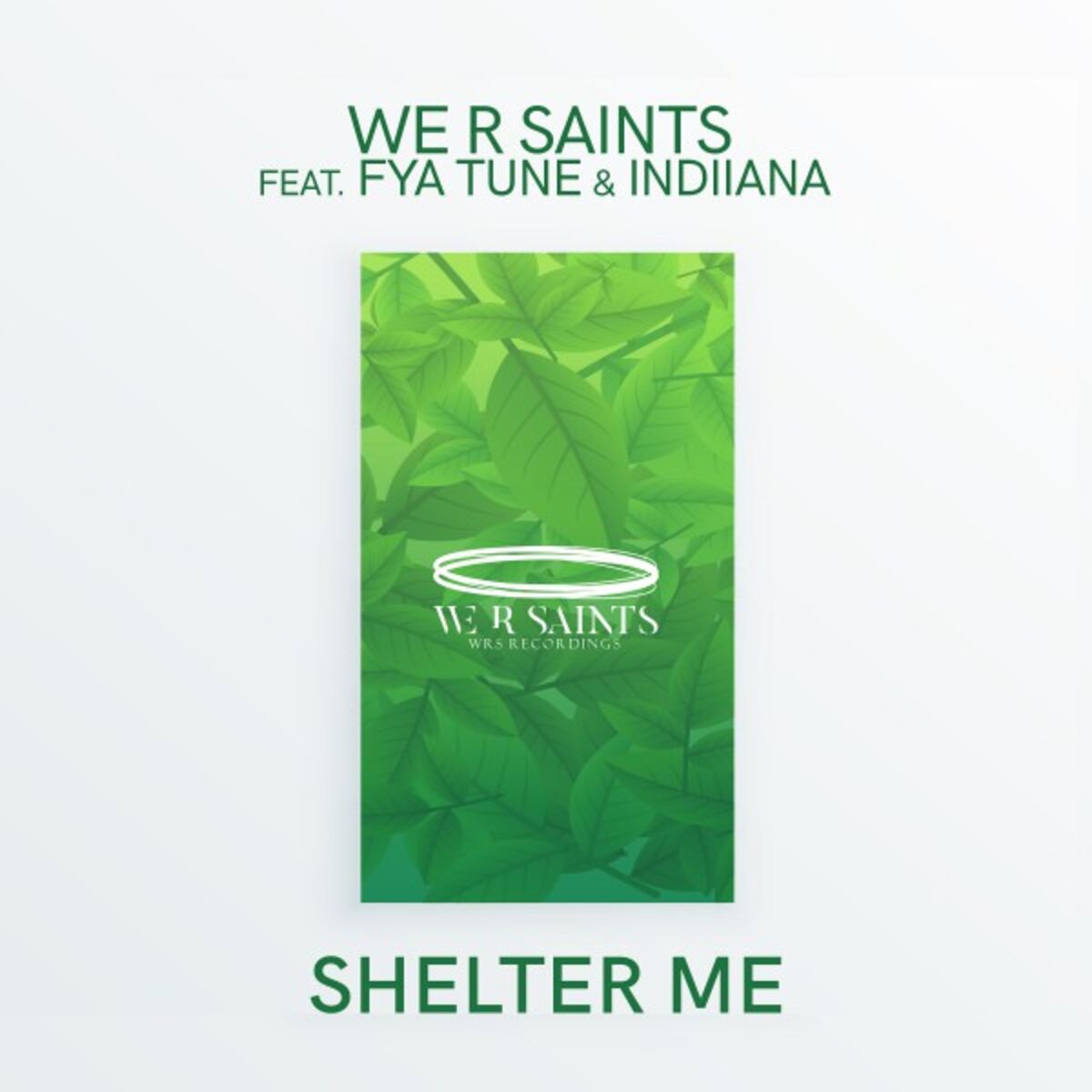 Album cover of Shelter Me