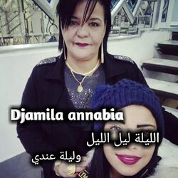 Cover of الليلة ليل الليل وليلة عندي
