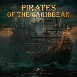 Cover of Pirates of the Caribbean (Cover) [Live]