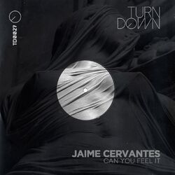 Cover of Can You Feel It