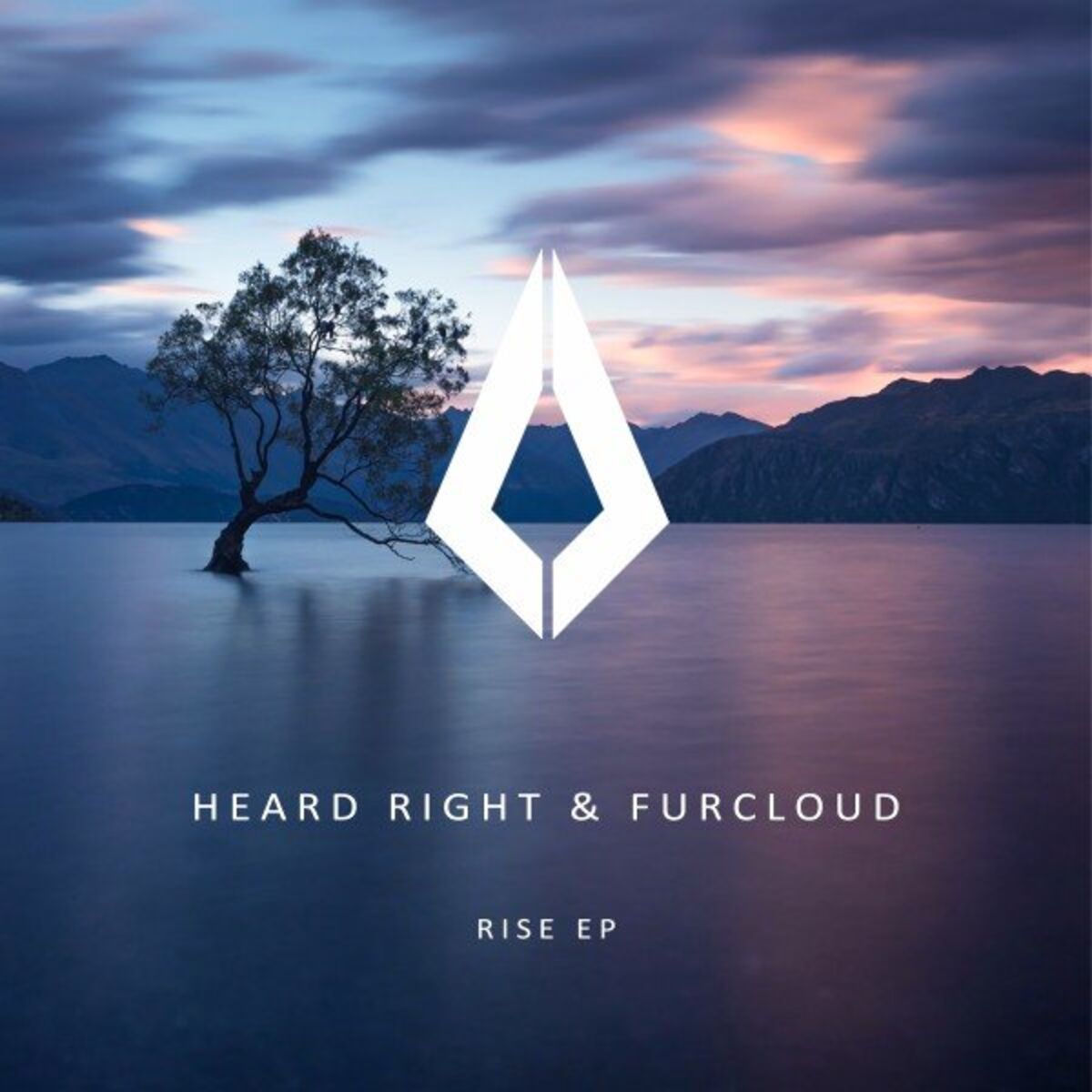 Album cover of Rise