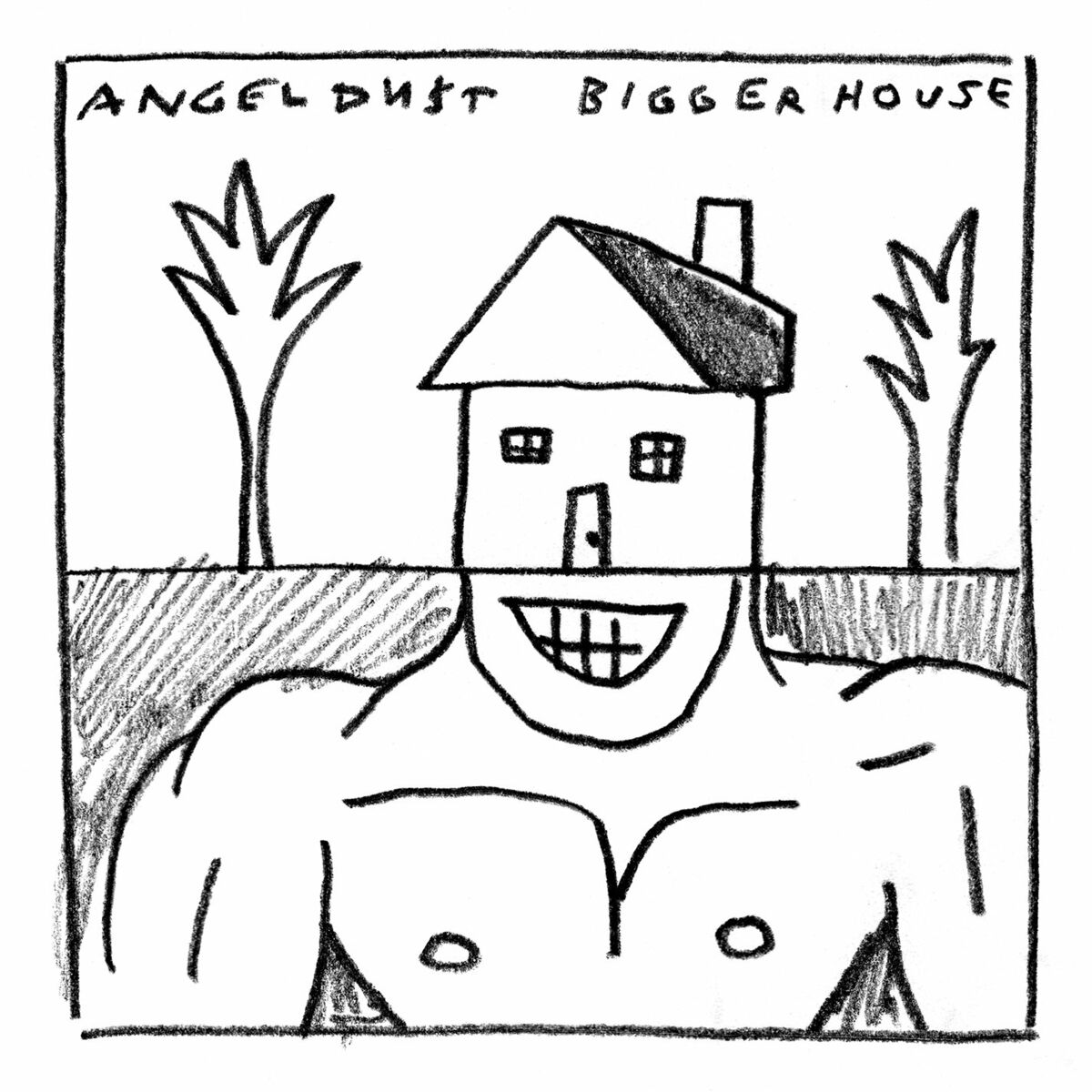 Album cover of Bigger House