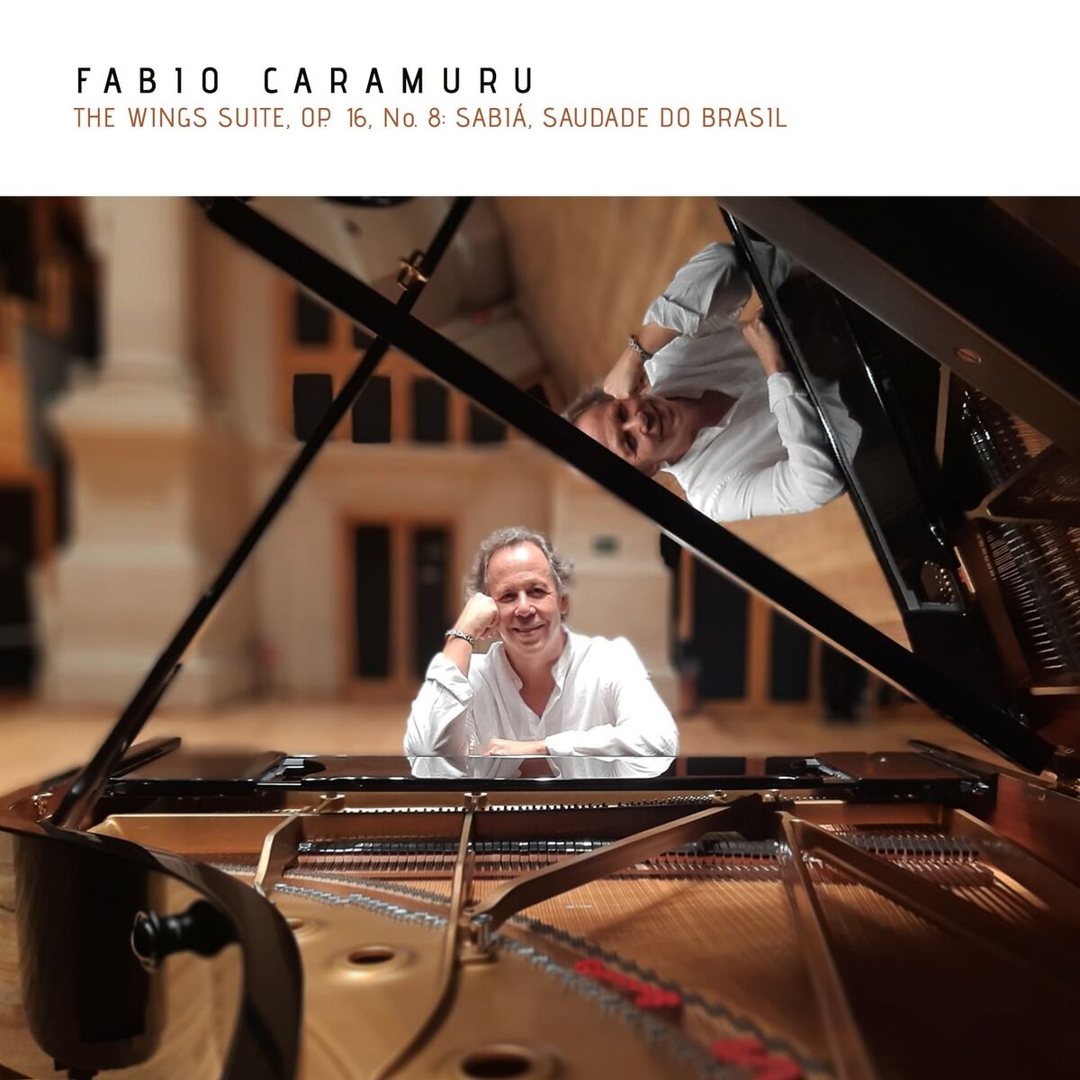 Album cover of The Wings Suite, Op. 16, No. 8: Sabiá, Saudade Do Brasil