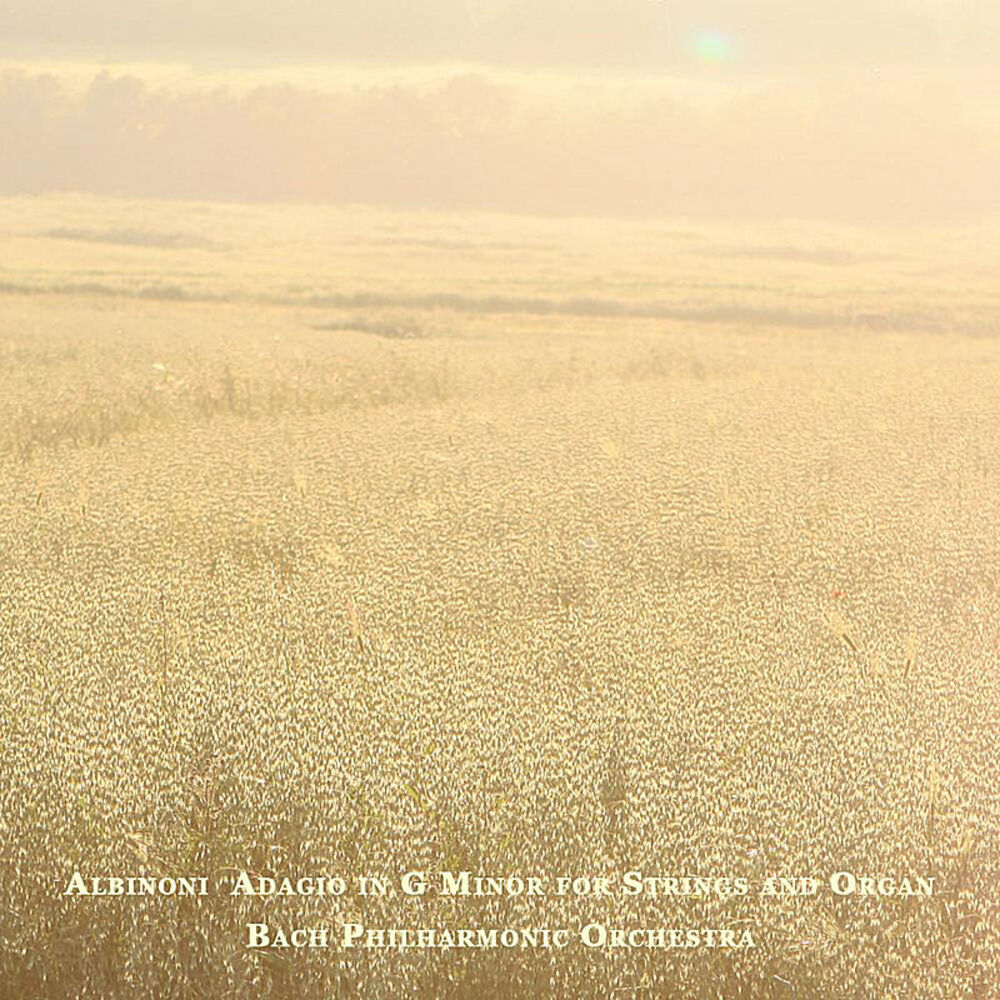 Picture of Albinoni: Adagio in G minor for Strings and Organ