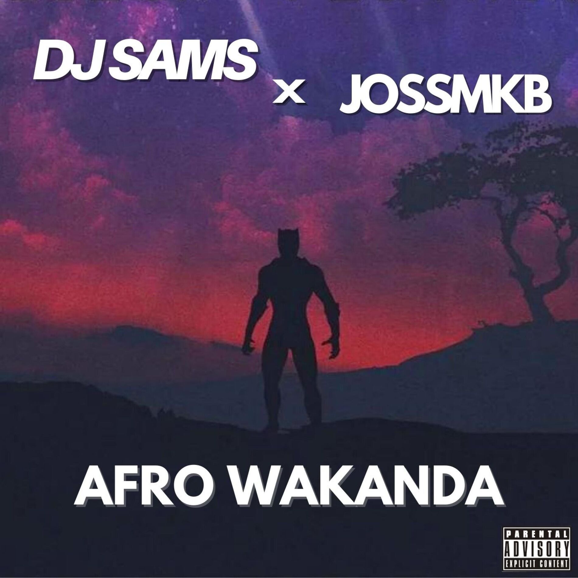 Album cover of Afro Wakanda (feat. JossMKB)