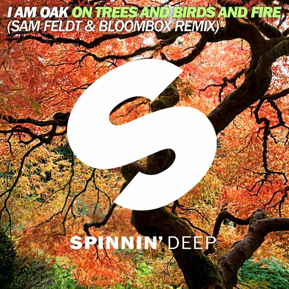 Picture of On Trees And Birds And Fire (Sam Feldt & Bloombox Remix)
