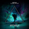Cosmic Meow