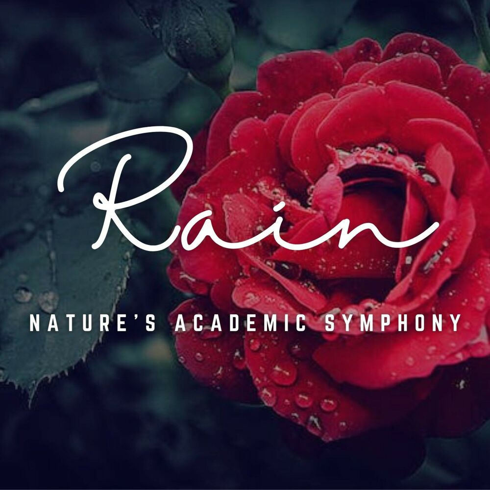 Picture of Rainy Study Focus: Nature's Academic Symphony